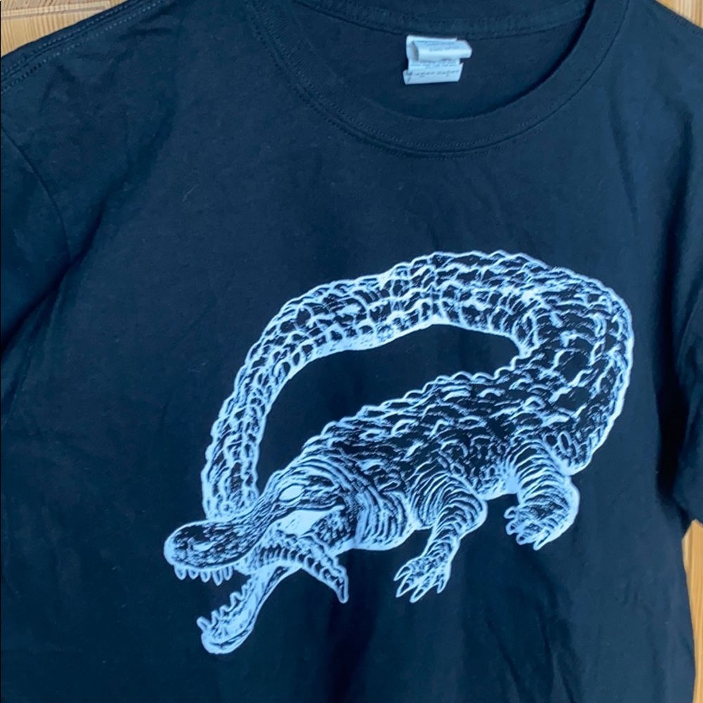 Catfish and the Bottlemen Tour T. 2016